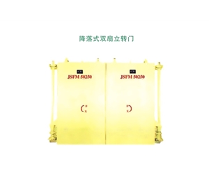 河南降落式双扇立转门
